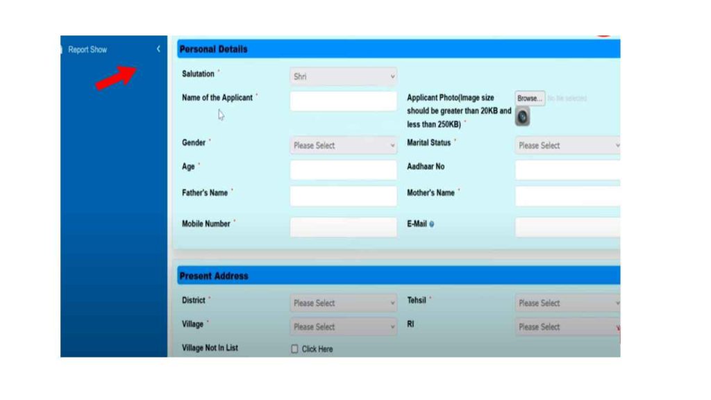 eDistrict Odisha Income